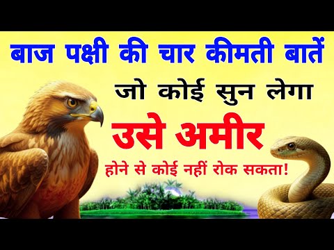 बाज पक्षी की चार कीमती बातें जो कोई सुन लेगा, उसे अमीर होने से कोई नहीं रोक सकता!