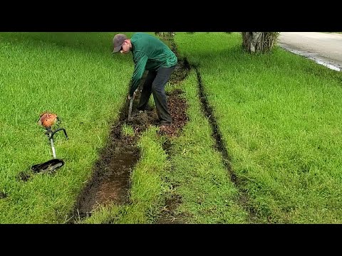 OVERGROWN Edges So Bad Rain Water Couldn't DRAIN Properly!  Overgrown Lawn Transformation