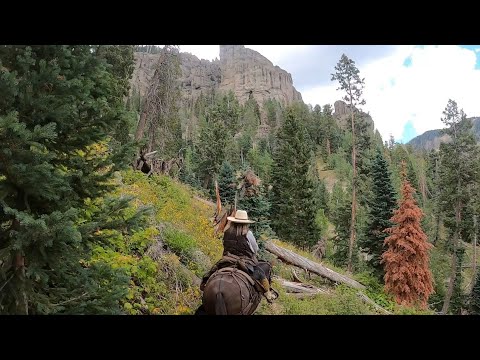 Palisades Horse camp, Pagosa Springs, Colorado