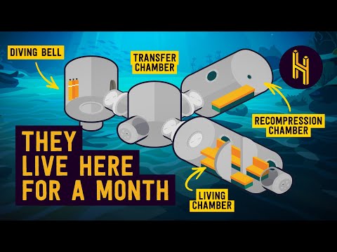 Why People Live In Tubes At The Bottom of the Ocean