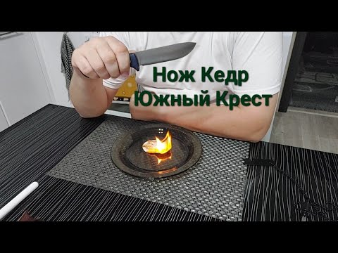Кедр Южный Крест - сталь D2, линза.