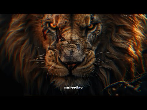 СИЛЬНЫЕ НАШИДЫ ДЛЯ ТРЕНИРОВОК 🕋⚔️🔥 || ПЛЕЙЛИСТ ЛУЧШИХ НАШИДОВ ДЛЯ СПОРТЗАЛА БЕЗ МУЗЫКИ