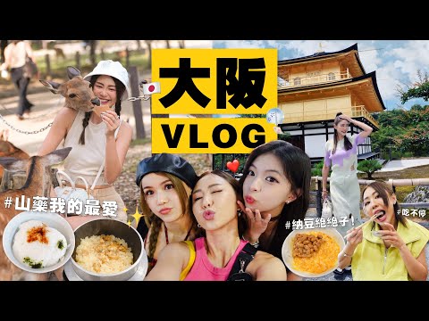 和我們一起到大阪過夏天🎐看藝妓表演 🪭 夏季限定川床料理 🤩 超涼快！到忍者博物館做忍者 🥷 扭蛋扭到懷疑人生 🫠｜ MAYHO 【 美好的一天 】