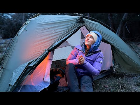 Alone in the Forest at −7°C | Frost, Silence & Stars