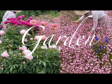 [Garden] 세상 예쁜 꽃 다 모인 정원, 가드너가 감탄한 풍경은? | 작약, 가드닝팁