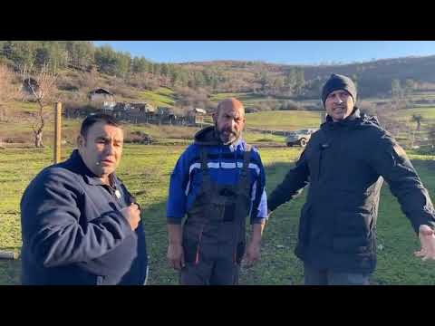 Да спасим стадото на Бай Рибан!