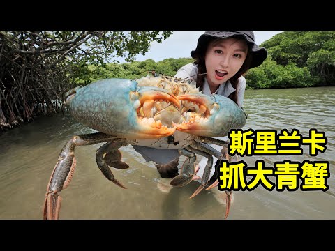 ශ්රී ලංකාවේ මඩ කකුළුවන් ඇල්ලීම