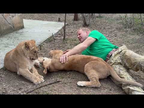Эта львица бегает за Олегом Зубковым как привязанная)))