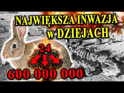 Explosion of Numbers - European RABBIT - Conqueror of Australia