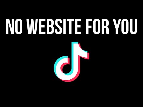 The creators of TikTok caused my website to shut down
