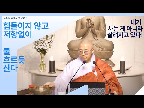[112] 힘들이지 않고, 물 흐르듯, 저항 없이 산다, 내가 사는 게 아니라 살려지고 있다