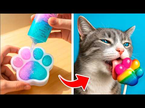 J’ai adopté un tout petit chat! Astuces et conseils étonnants pour animaux