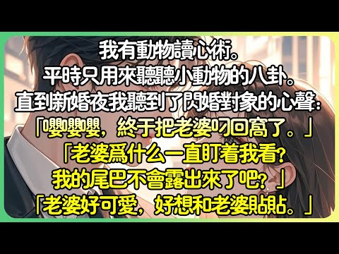 現言甜文💕我有動物讀心術。平時只用來聽聽小動物的八卦。直到新婚夜我聽到了閃婚對象的心聲：「嚶嚶嚶，終於把老婆叼回窩了。」「老婆為什麼一直盯著我看？我的尾巴不會露出來了吧？好想和老婆貼貼。」#薄荷听书