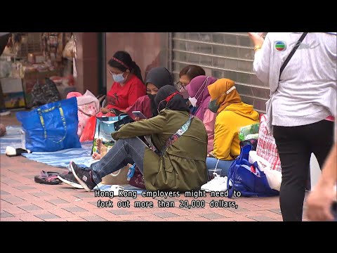News at 7:30|4 AUG 2023|HONG KONG English Latest NEWS