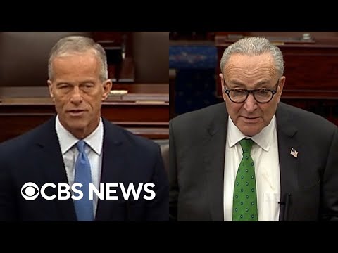 Thune raises concerns about workers missing paychecks, Schumer calls SNAP freeze "callous"