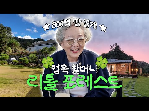 김영옥 800평 가평 땅 최초공개! 할머니의 숨겨놓은 리틀포레스트