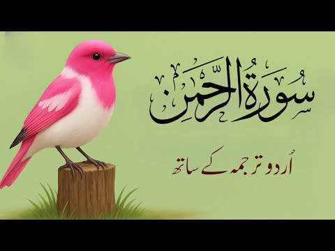 Surah Rahman With Urdu Translation | سورة الرحمن | Quran Recitation | Beautiful Quran Recitation