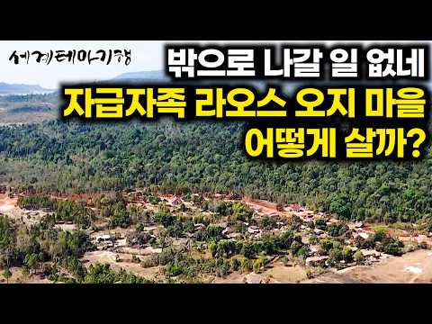 해발 800m 위에서 자급자족 하는 라오스 오지마을 사람들이 사는 법｜세계테마기행｜#세테깅