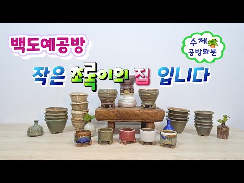 20251215(242회영상)작은 초록이들의 집이 왔어요🤗식집사님 필수 화분🪴#수제화분#미니화분#공방화분#분갈이화분#고급화분#명품화분#분청화분 #다육화분#야생화화분#아프리카식물 