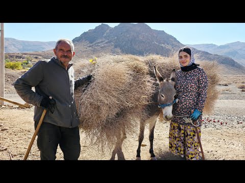 Village Life In Iran: Amazing Cooking & Donkey Riding