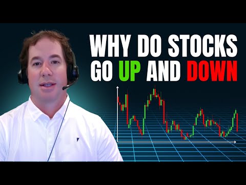 Why Stocks Go Up & Down (Stock Market Explained)