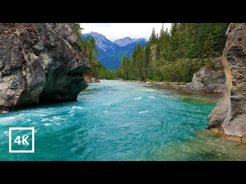 4K Alpine Mountain River in Canadian Backcountry | Relaxing Nature Scene | Nature Sounds White Noise