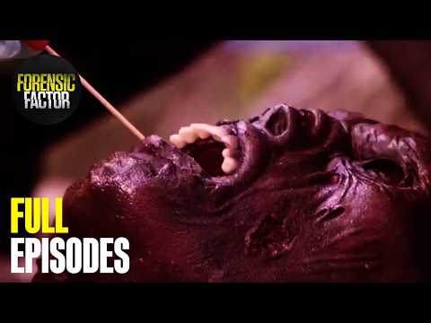 Binge Brutal True Crime Stories All Night | Season 4 Marathon (All Episodes) | Forensic Factor