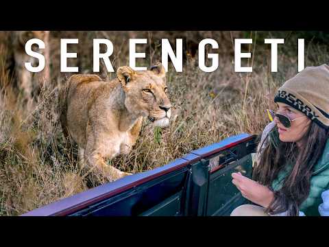 Is a Serengeti Safari Worth It? (Honest Opinion)