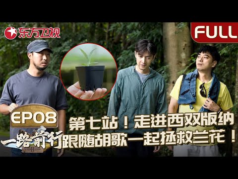 【#一路前行2 EP08】“水哥”王昱珩加盟小分队！胡歌带领小分队走进云南西双版纳热带植物园！展开拯救兰花的艰辛之旅！让云南再现兰香满谷！｜#一路前行第二季｜#胡歌 ｜#陈龙｜#王昱珩｜FULL