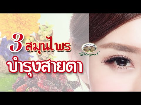 3 สมุนไพร บำรุงสายตา ตาเสื่อม l สมุนไพรน่ารู้ [2022]