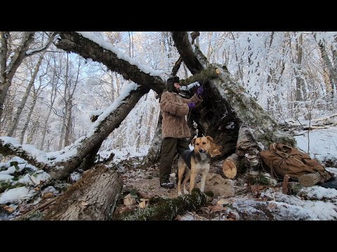 3 DAYS solo survival!! and primitive overnight shelter made from a fallen tree!!