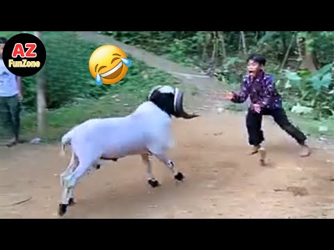 Funniest Fails & Viral Memes Of The Year 😂🤣 Try Not To Laugh Challenge #9