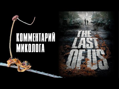 The Last of Us. Комментарий миколога. Михаил Вишневский
