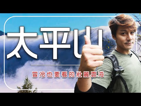 太平山解封首日出大景！雲瀑翻湧、仙氣奔騰 廖科溢冒冷上山大呼值回票價｜宜蘭／太平山｜#廖科溢