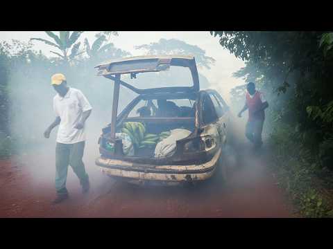 Cameroon, The Jungle's Survivors