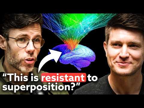 The Problem ALL Quantum Consciousness Theories Have