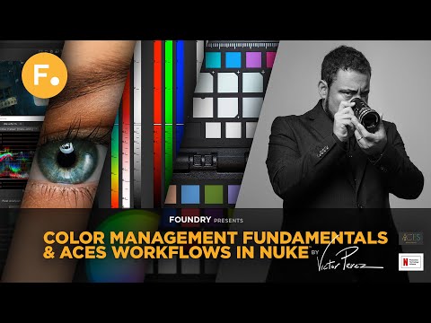 Color Management Fundamentals & ACES Workflows in Nuke [PARTNER PROVIDED]
