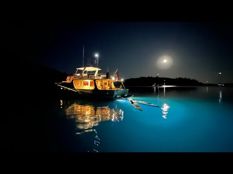 Fleming 55 - Brisbane to Whitsundays via Swains Reef, Aug 2023!