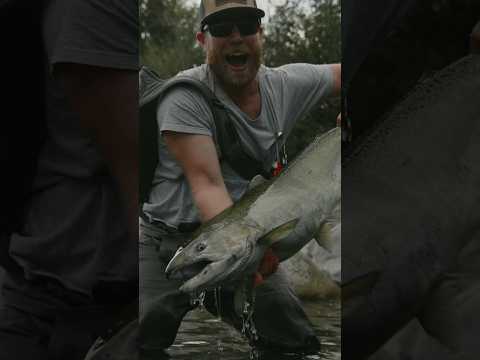 Slaying River Monsters #salmonfishing #fishing #salmon