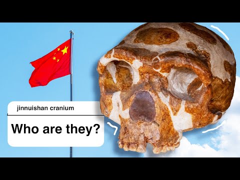 The ancient skulls you haven’t heard of