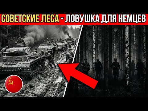 Как Советские леса стали ловушкой для 3 миллионов Немцев