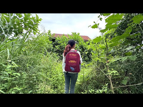 Nurse returns after years away:  Her childhood home nearly vanished under wild grass!