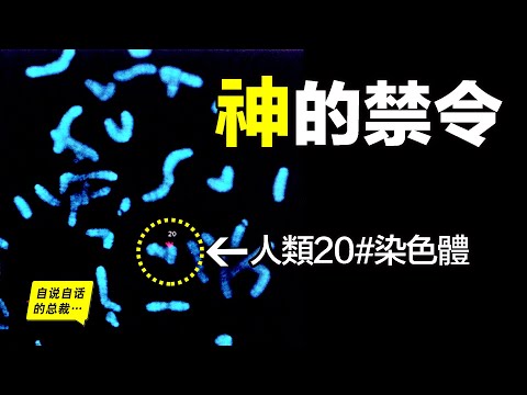 The prohibition of God written on human chromosome #20. What does God prohibit humans from doing?