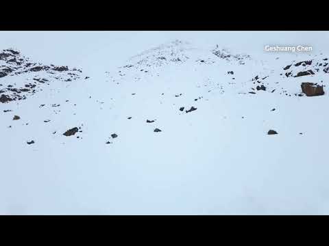Hundreds of trekkers escape from blizzard-struck Everest in Tibet | REUTERS