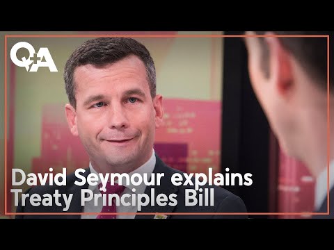 David Seymour: Why Treaty of Waitangi principles should be redefined | Q+A 2024