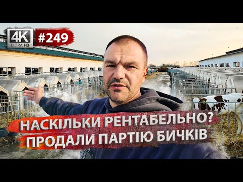 Рентабельність ферми💸Підготовка до корів🐮Плани на майбутнє