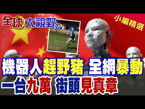 A Chinese-style humanoid robot appeared on the streets of Poland to "chase wild boars," waving go...