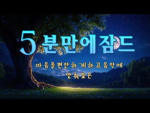마음을 편안하게 하고 음악에 맞춰 깊은 잠에 빠져보세요 - 5분만에 잠드는 음악, 숙면에 좋은 음악, 힐링 음악