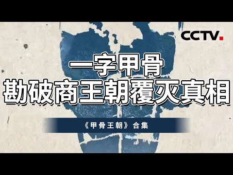 走进神秘商王朝 打开尘封千年的“商”记忆！从文化疆域 占卜制度 生产科技等多个方面 揭开商王朝的神秘面纱！【CCTV纪录】