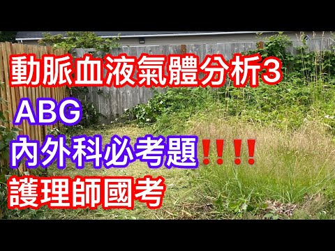 【動脈血液氣體分析Arterial blood gas第三集】【護理師國考#4】內外科必考題‼️‼️體液電解質與酸鹼平衡